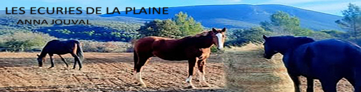 Les Ecuries de la Plaine